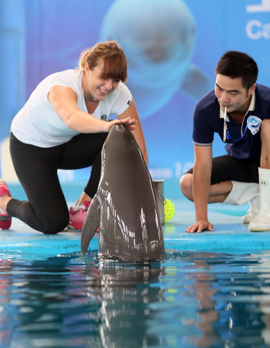 国安延续连 国安延续连