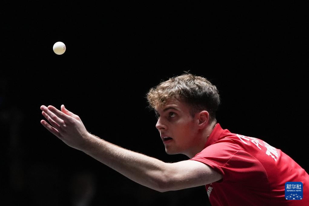 案例分析 案例分析